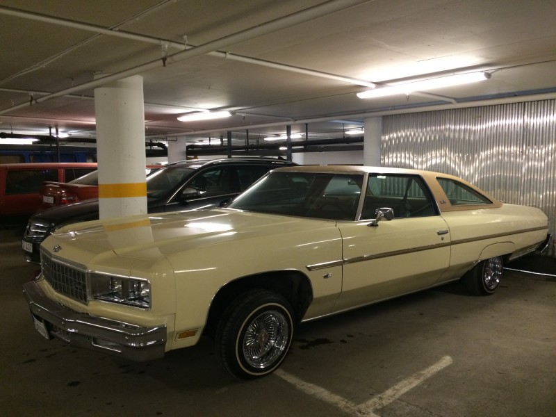 1976 (1).JPG