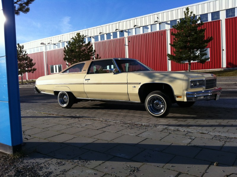 Glasshouse (176).JPG