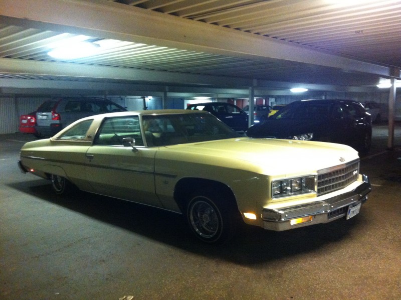 Glasshouse (227).JPG