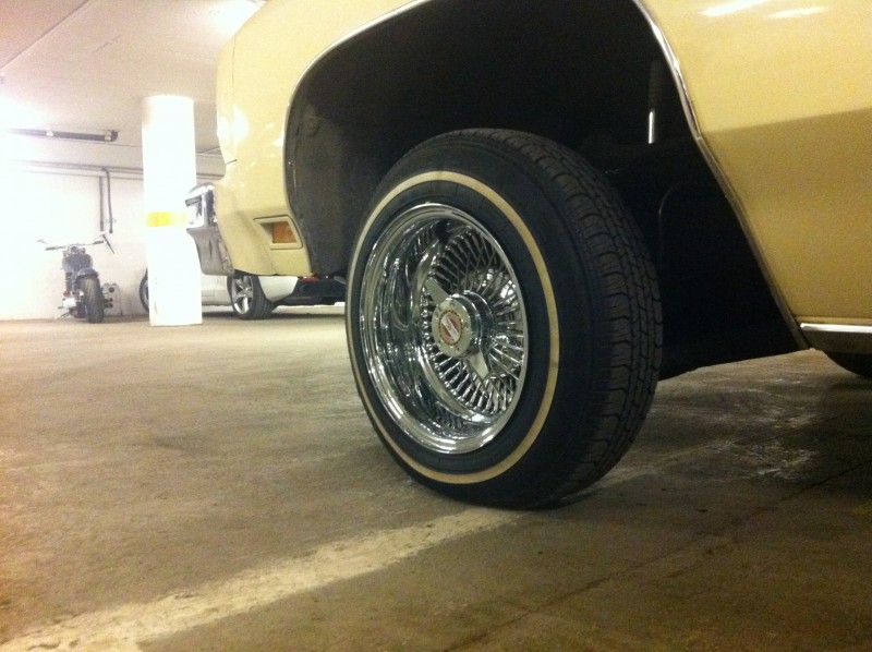 Glasshouse (214).JPG