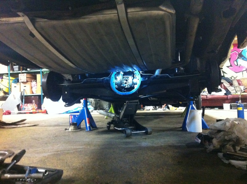 Glasshouse (239).JPG