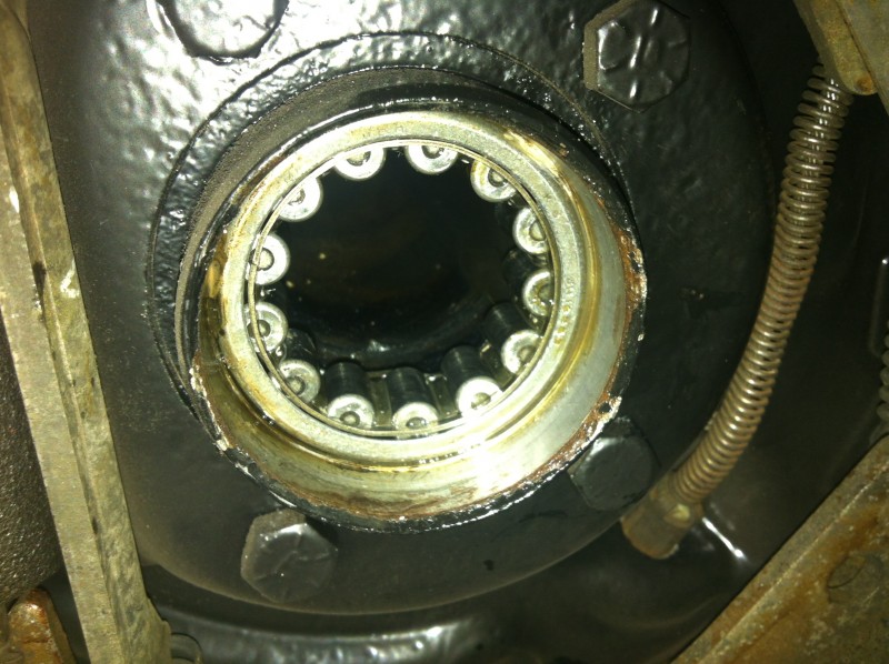 Glasshouse (230).JPG