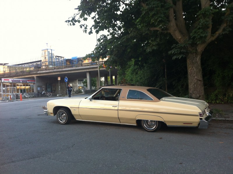 Glasshouse (245).JPG