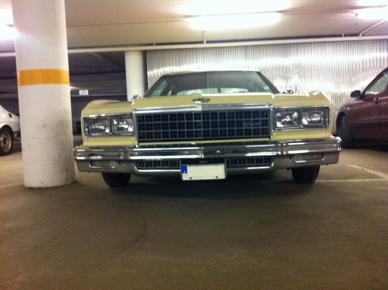 Glasshouse (264) red.jpg